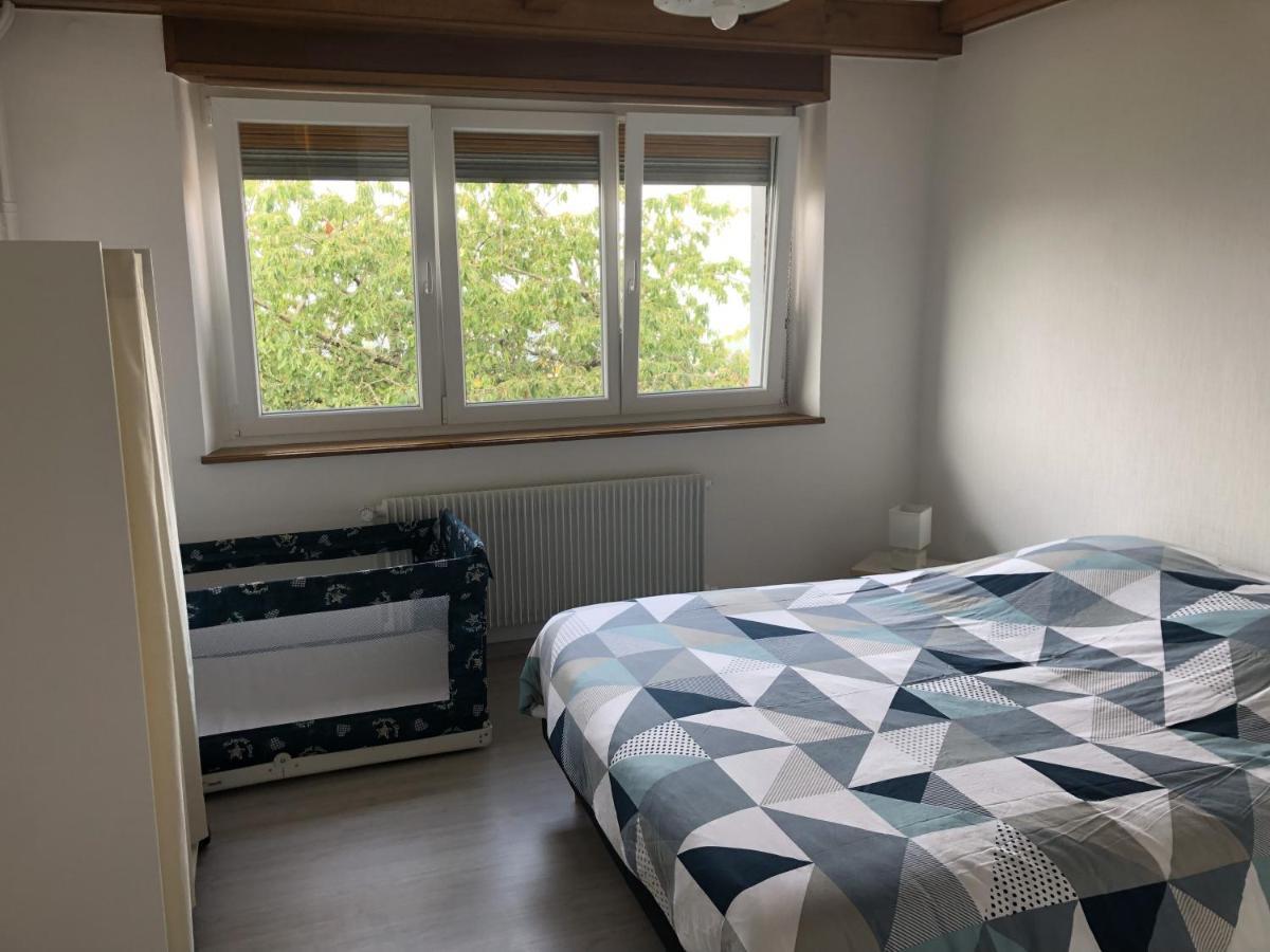 De Montagne Au Pied Du Champ Du Feu Appartement Belmont (Bas-Rhin)