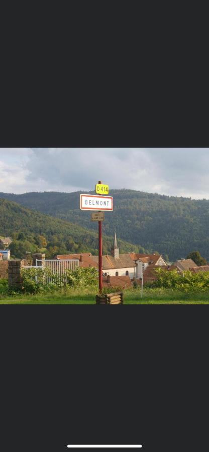 De Montagne Au Pied Du Champ Du Feu Appartement Belmont (Bas-Rhin)